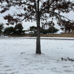 Rare Snowfall in Katy, TX: Stunning Winter Scenes You Have to See