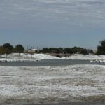 Frozen Reflections: Snowfall Transforms the Lake into a Texas Wonderland